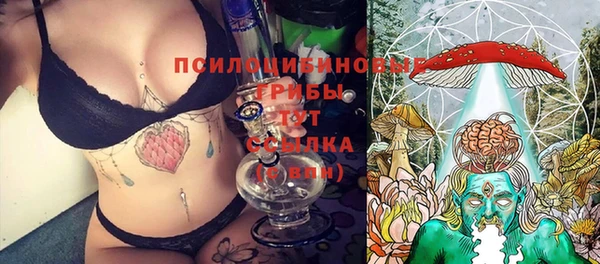скорость Заводоуковск