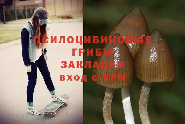 скорость Заводоуковск